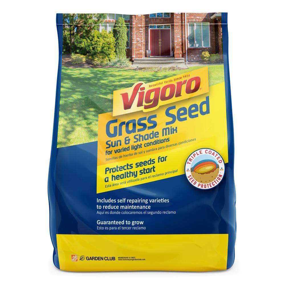 Vigoro grass store seed