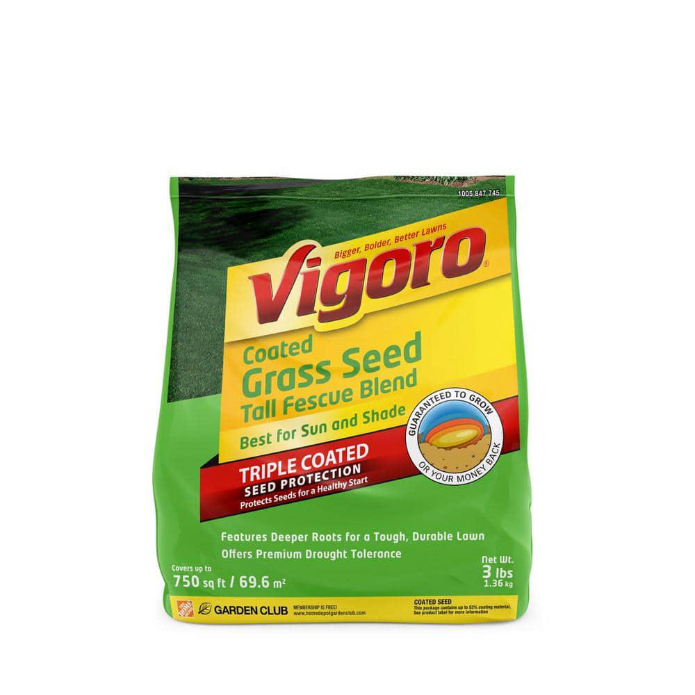 Vigoro grass deals seed